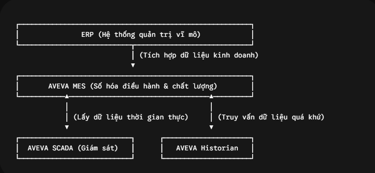 Quy trình áp dụng các sản phẩm của AVEVA vào hệ thống quản trị