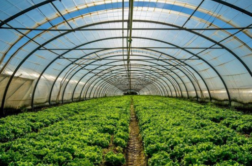 ứng dụng iiot trong nông nghiệp nhà kính