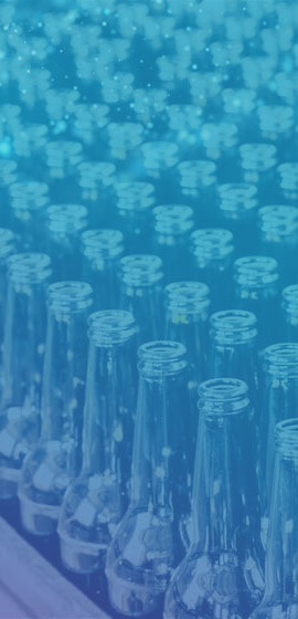 Tư vấn & Đào tạo